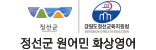 정선군 원어민 화상영어